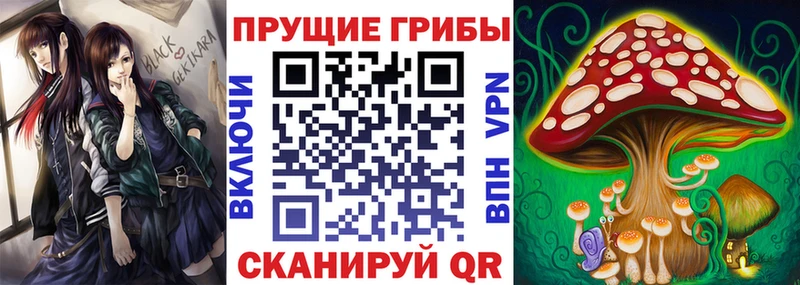 что такое наркотик  Хотьково  Псилоцибиновые грибы Magic Shrooms 